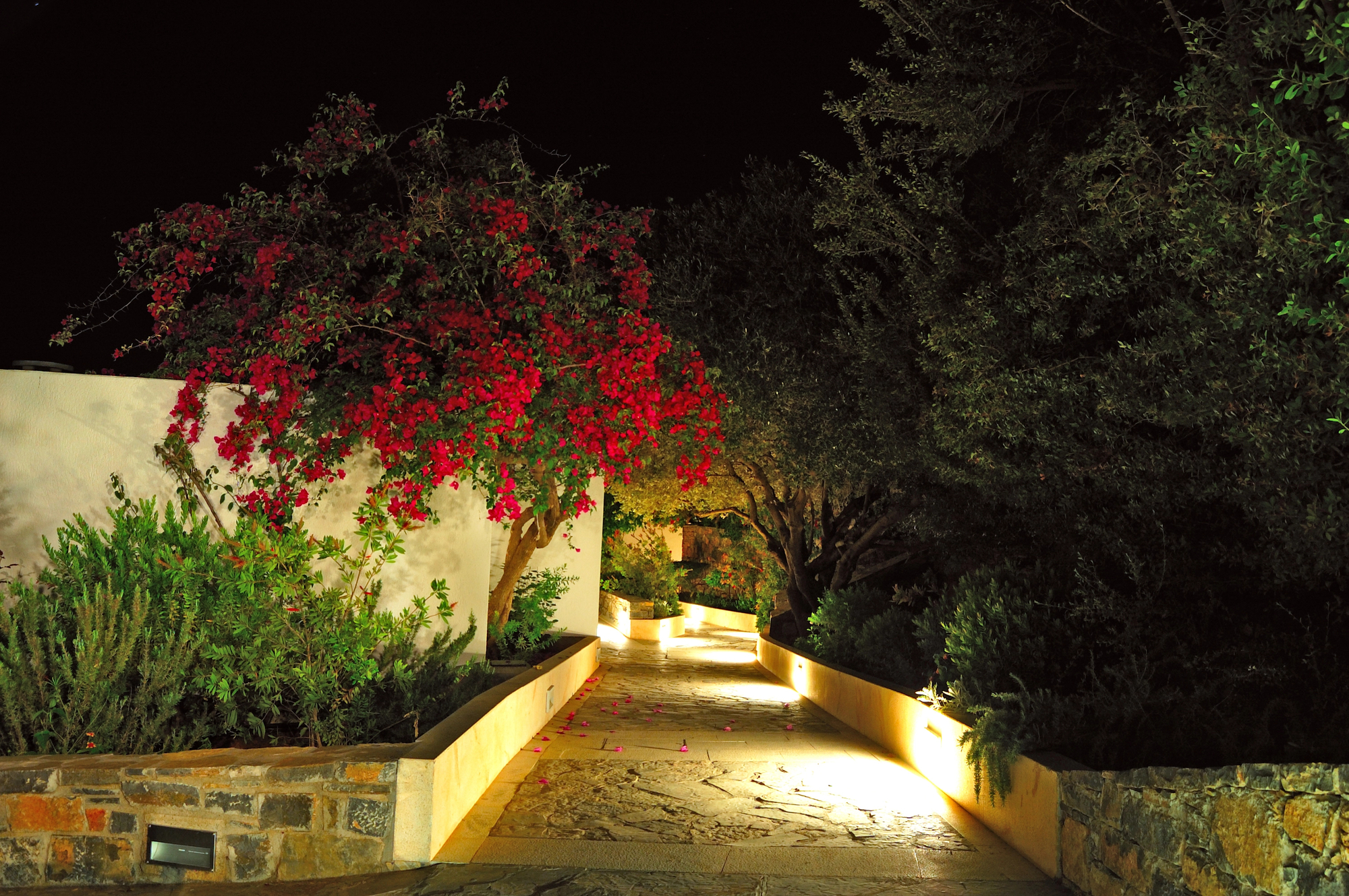 pathway with beautiful outdoor lighting