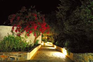 Garden with outdoor lighting