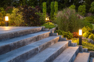 Landscaped Garden with Concrete Stairs and Decorative Illumination