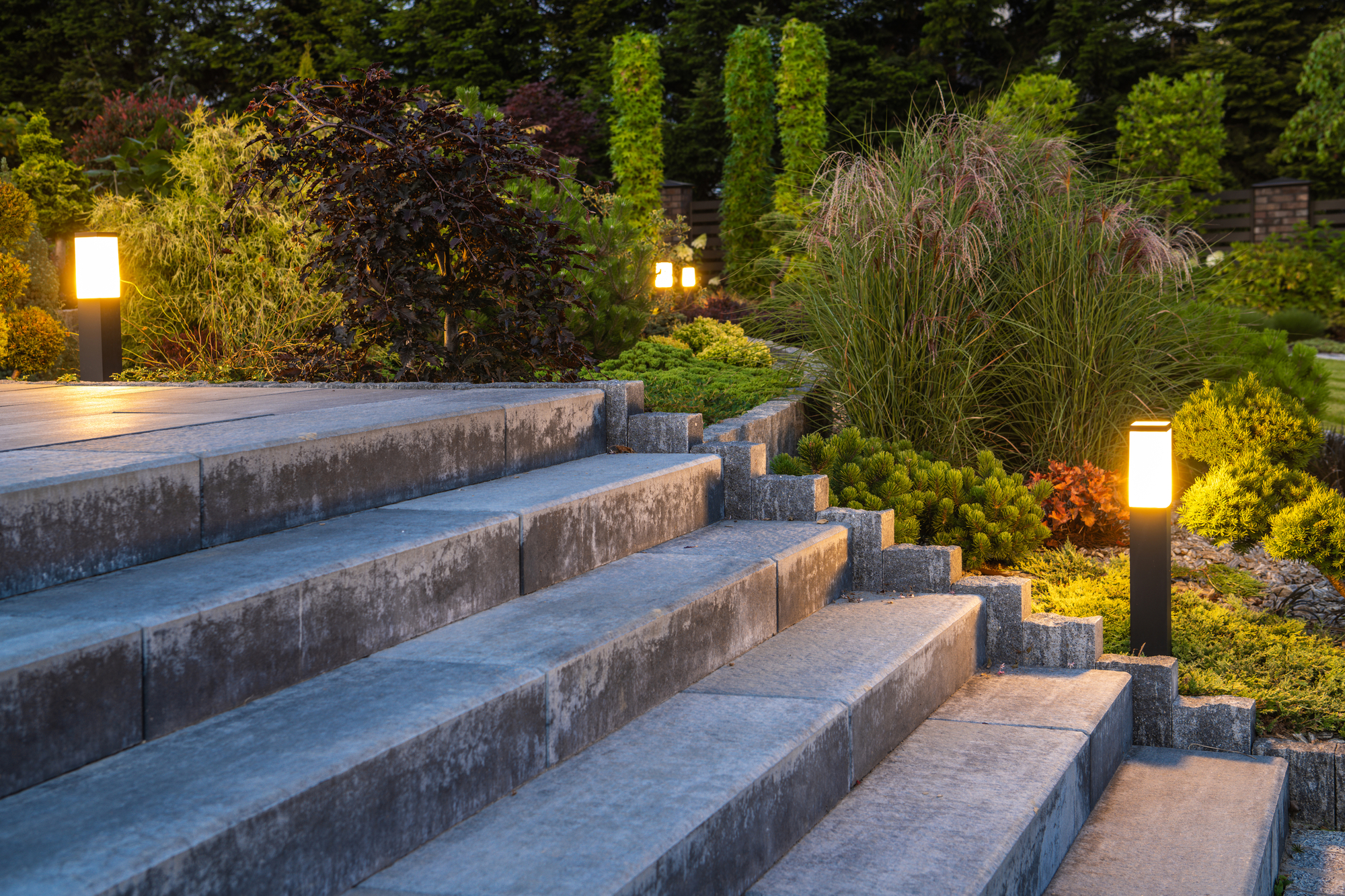 Landscaped Garden with Concrete Stairs and Decorative Illumination